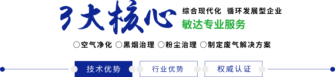 内射小穴视频敏达环保科技（嘉兴）有限公司